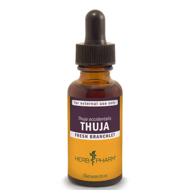 Thuja - My Village Green